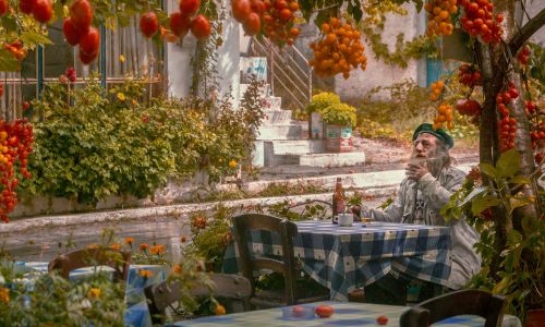 Gemüsegarten mit Gärtner und reifen Tomaten