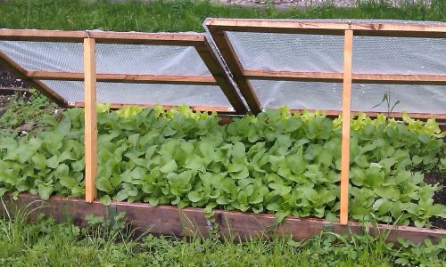 DIY Frühbeet mit Foliendach