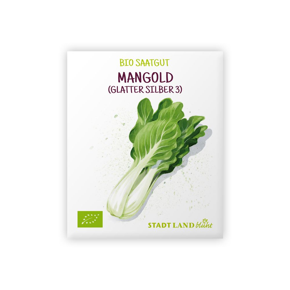 Mangold Samen bio Glatter Silber 3