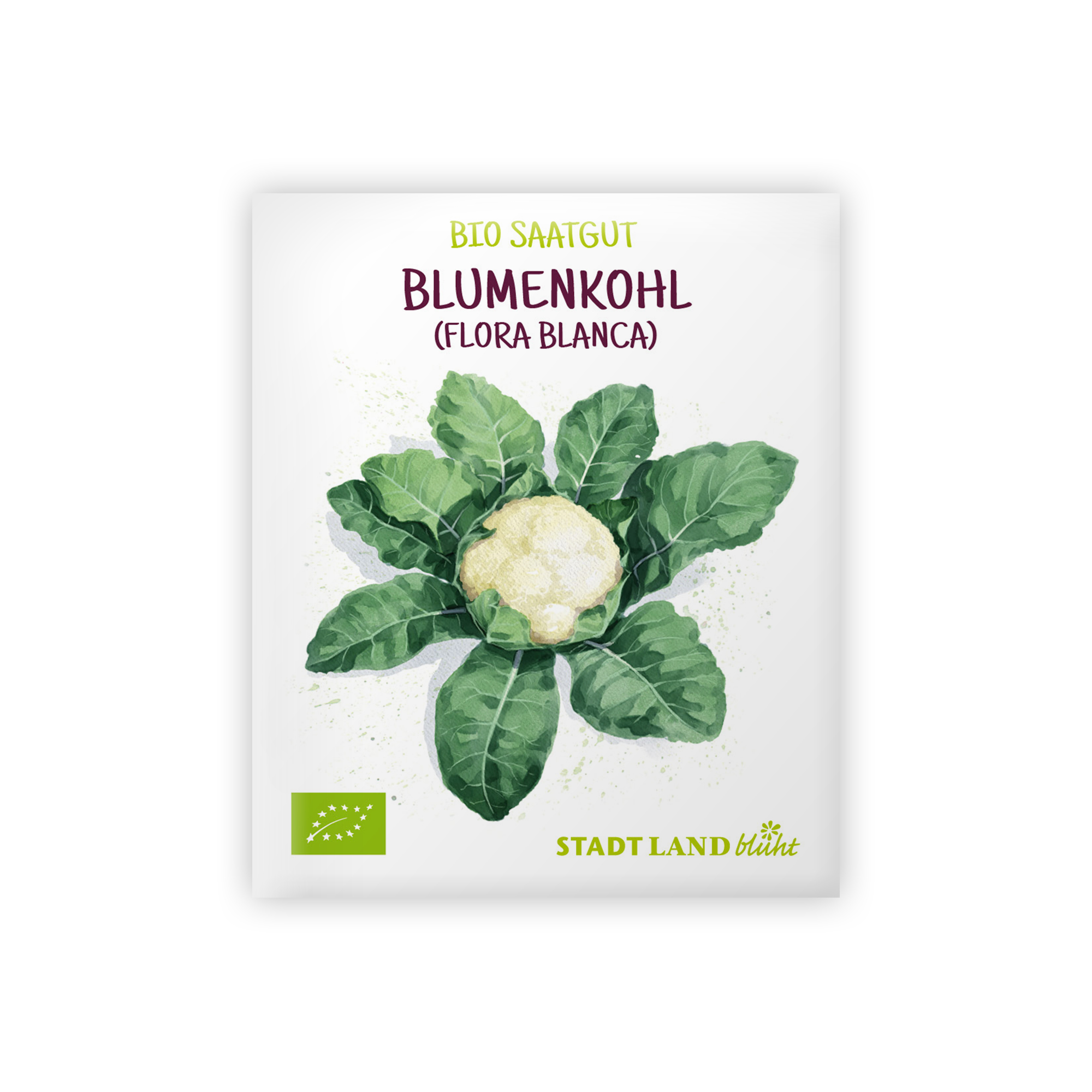 Bio Blumenkohl Samen