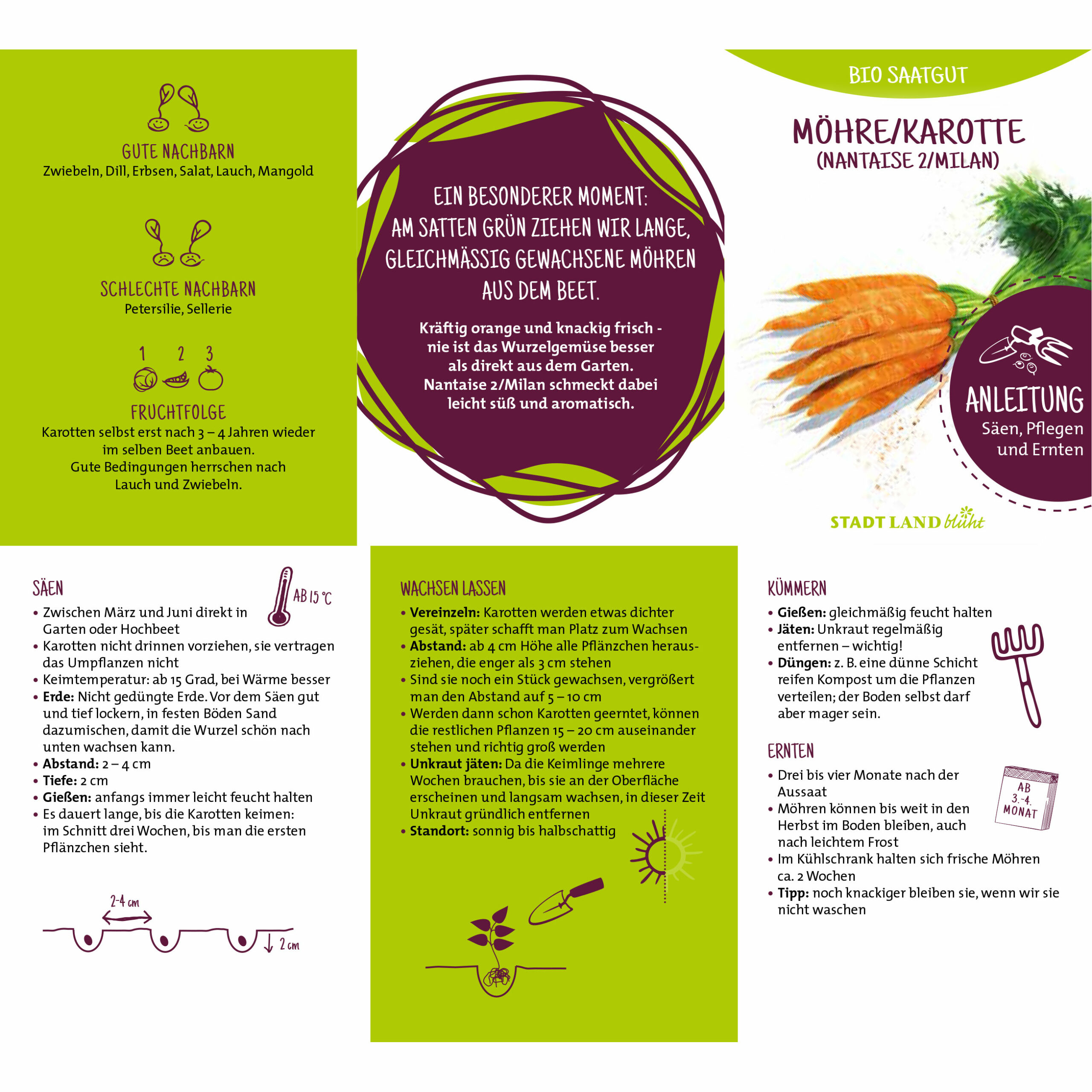 Pflanzanleitung beim Samen kaufen