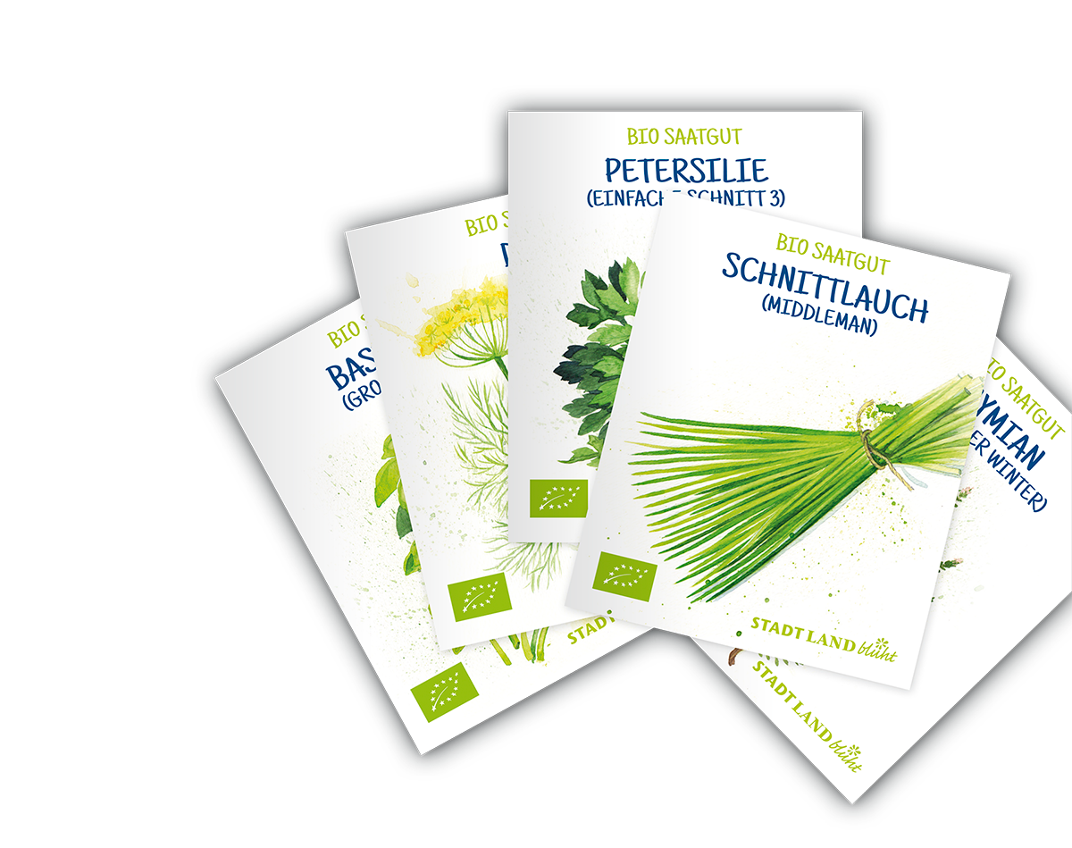 Bio Saatgut einkaufen