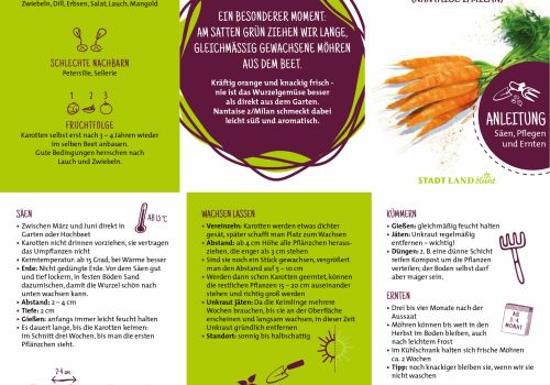 Pflanzanleitung beim Samen kaufen