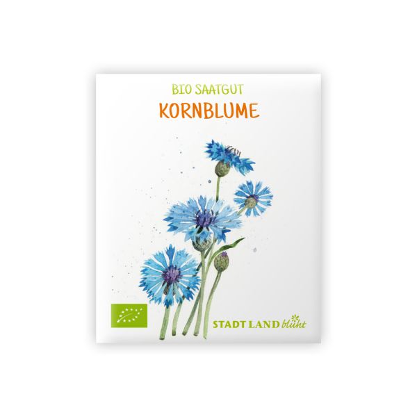 Bio Saatgut Kornblume Centaurea Cyanus