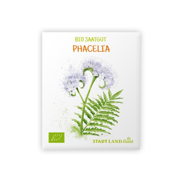 Phacelia Samen