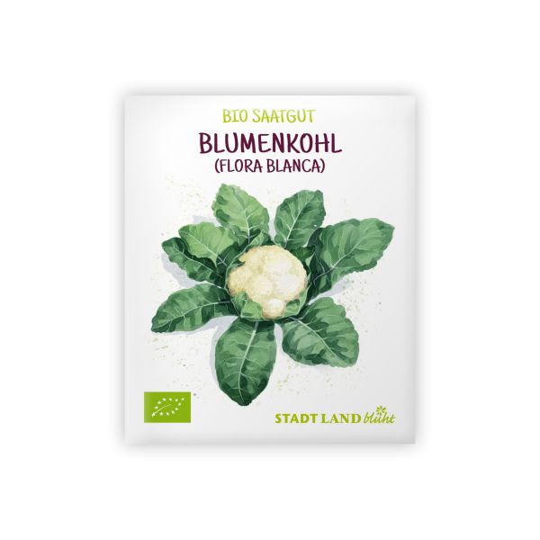 Bio Blumenkohl Samen