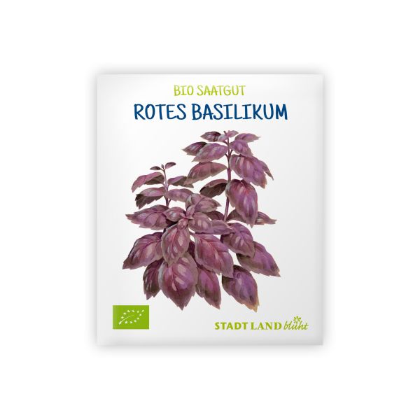 Bio Basilikumsamen Rotes Basilikum