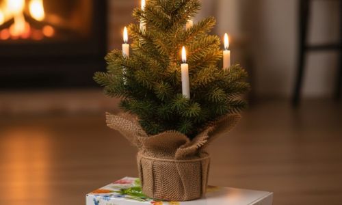 bestes Weihnachtsgeschenk für Gärtner