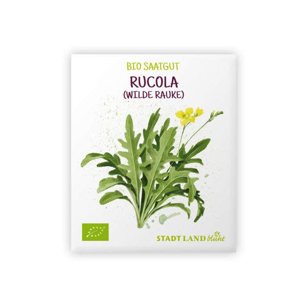 Rucola Samen