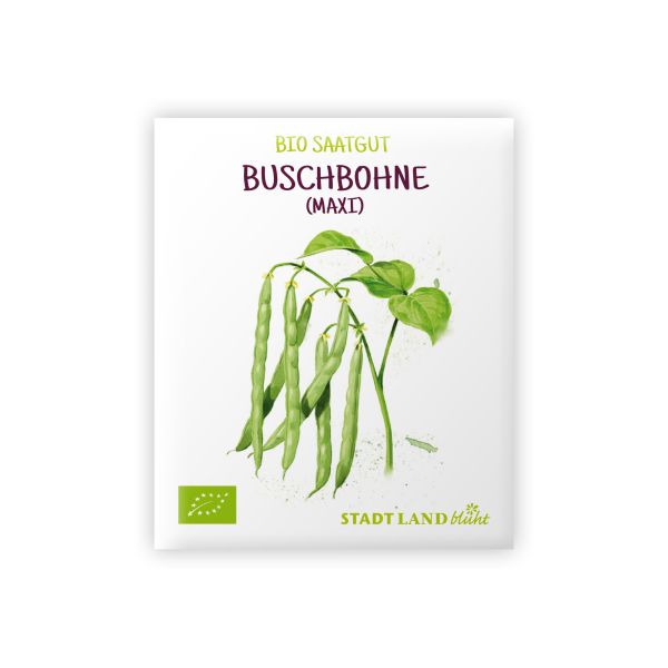 Bio Bohnensamen Buschbohne Maxi