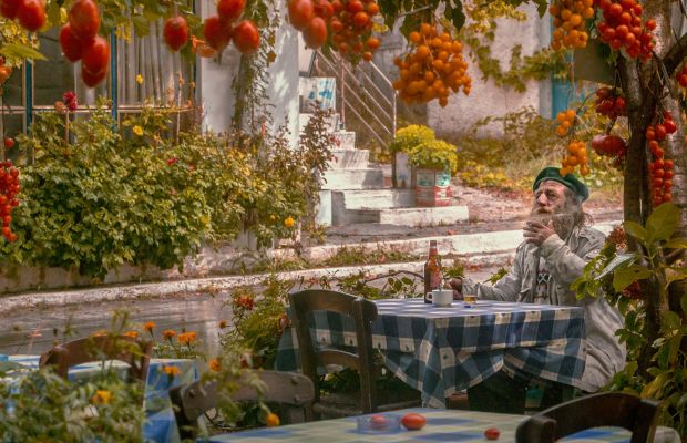 Gemüsegarten mit Gärtner und reifen Tomaten