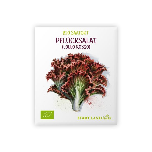 Pflücksalat Samen Lollo Rosso bio