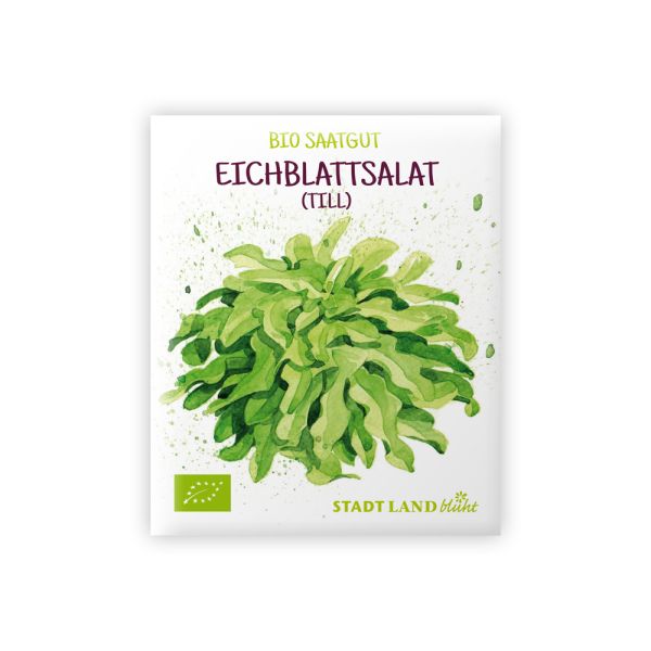 Salat Samen bio Eichblattsalat Till.