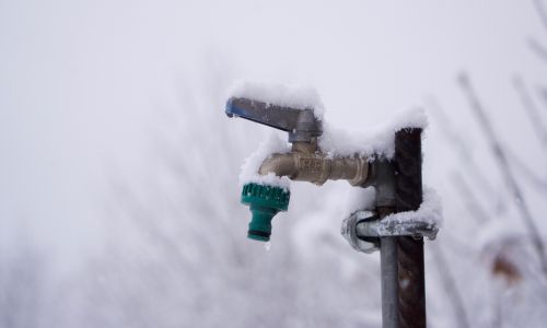 Wintereinbruch im Garten