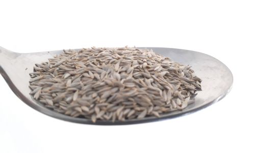 Bio Samen Eichblattsalat Till, samenfest