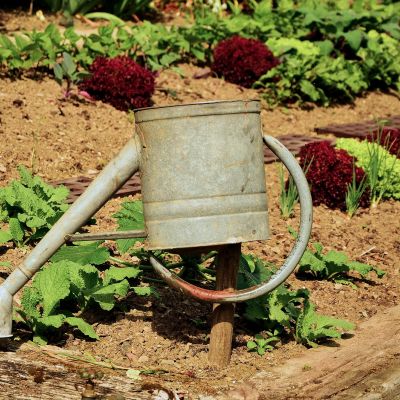 Gießkanne im Garten
