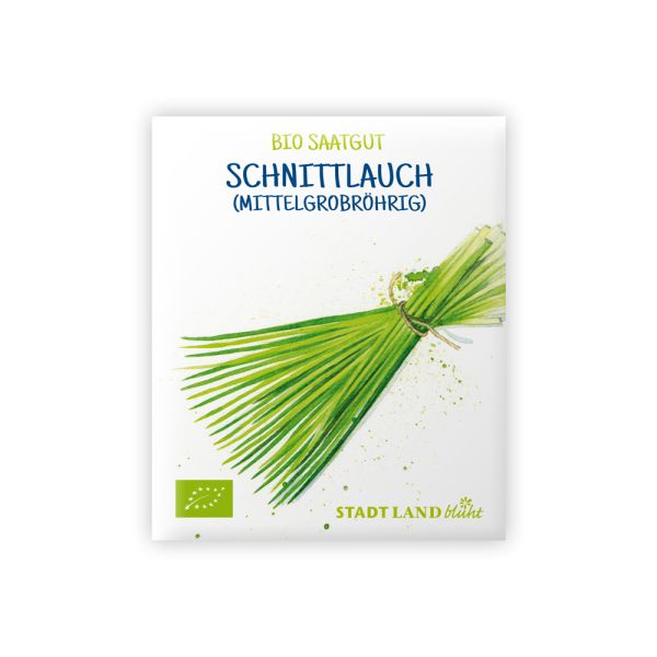 Bio Saatgut Schnittlauch mittelgrobröhrig.